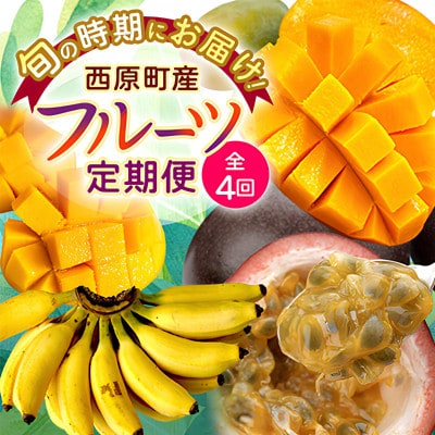 【発送月固定定期便】JAおきなわ厳選!季節の南国フルーツ 西原町の旬の味覚をお届け全4回【配送不可地域：離島】【4080888】
