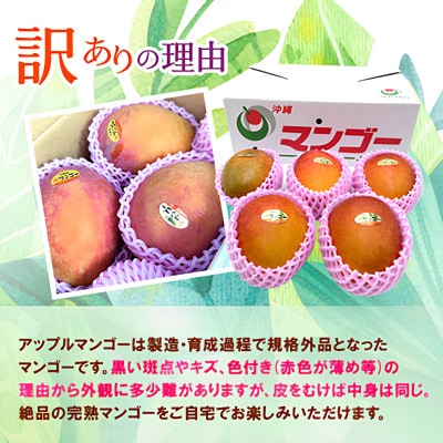 【発送月固定定期便】JAおきなわ厳選フルーツセット(パッションフルーツ・マンゴー・島バナナ)全3回【配送不可地域：離島】【4080887】