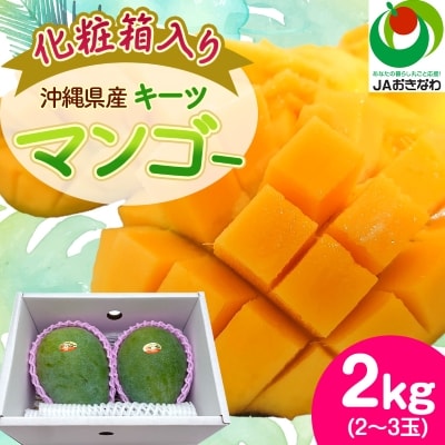 【2026年8月から順次発送・化粧箱】JAおきなわ厳選!沖縄県産キーツマンゴー2kg(2〜3玉)【配送不可地域：離島】【1494471】