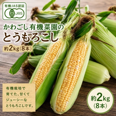 【2027年3月上旬より順次発送】有機JAS認証 かわごし有機菜園のとうもろこし 約2kg(8本)【配送不可地域：離島】【1734641】