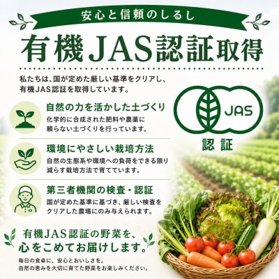 【発送月固定定期便】旬の沖縄野菜(とうもろこし・ナス・オクラ・カリフローレ・スナップエンドウ)全5回【配送不可地域：離島】【4086627】