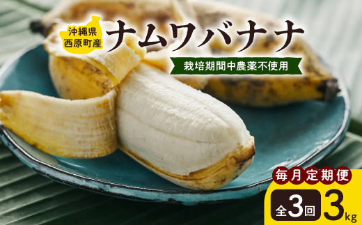 【毎月定期便】西原町の栽培期間中農薬不使用のナムワバナナ3kg全3回【4069633】