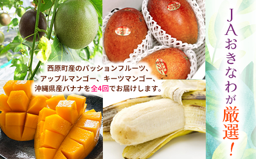 ãçºéæåºå®å®æäŸ¿ãJAãããªãå³éž!å£ç¯ã®ååœãã«ãŒã 西åçºã®æ¬ã®å³èŠããå±ãå
š4åãé
éäžå¯å°åïŒé¢å³¶ãã4080888ã