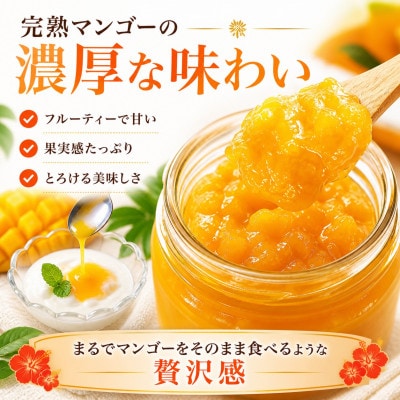 【化粧箱入り】沖縄マンゴー使用!トロピカルギフトセット【1742771】