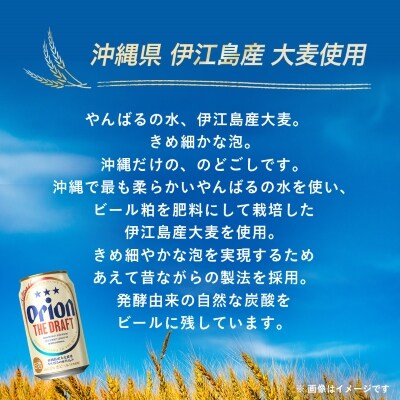 【毎月定期便】オリオンビール ザ・ドラフト(350ml×24缶)全3回【4058703】