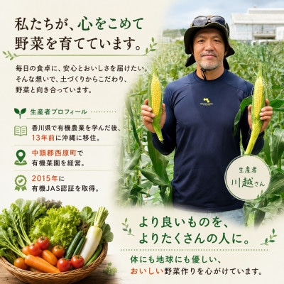 【発送月固定定期便】旬の沖縄野菜(とうもろこし・ナス・オクラ・カリフローレ・スナップエンドウ)全5回【配送不可地域：離島】【4086627】