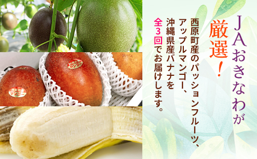 ãçºéæåºå®å®æäŸ¿ãJAãããªãå³éžãã«ãŒãã»ãã(ããã·ã§ã³ãã«ãŒãã»ãã³ãŽãŒã»å³¶ããã)å
š3åãé
éäžå¯å°åïŒé¢å³¶ãã4080887ã