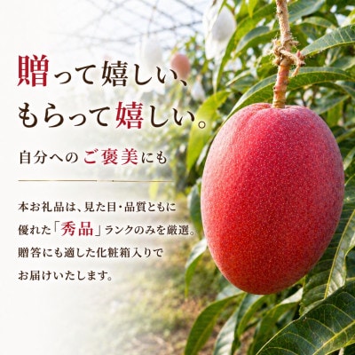 縲2026蟷エ6譛医°繧蛾谺。逋コ騾√サ蛹也イァ邂ア縲遷A蜴ウ驕ク縺ョ繧「繝繝励Ν繝槭Φ繧エ繝シ1kg(2縲3邇)縲宣埼∽ク榊庄蝨ー蝓滂シ夐屬蟲カ縲代1494042縲