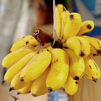 JA縺翫″縺ェ繧上′蜴ウ驕ク!蟄」遽縺ョ豐也ク逵檎肇繝舌リ繝顔エ2kg(譌ャ縺ョ蜩∫ィョ縺翫∪縺九○)縲1694030縲