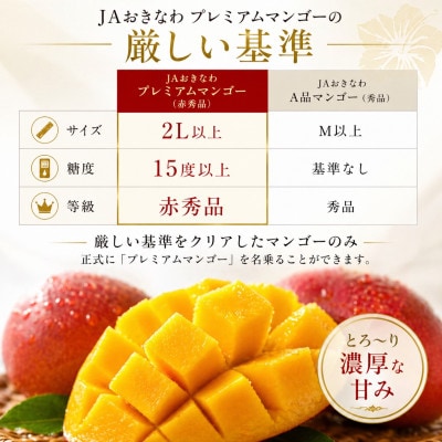 【2026年6月から順次発送】糖度15度以上!JAおきなわが厳正したプレミアムマンゴー4玉【配送不可地域：離島】【1642600】