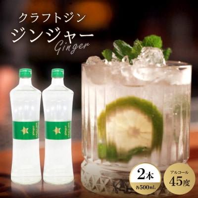 クラフトジン ジンジャー2本【1501025】
