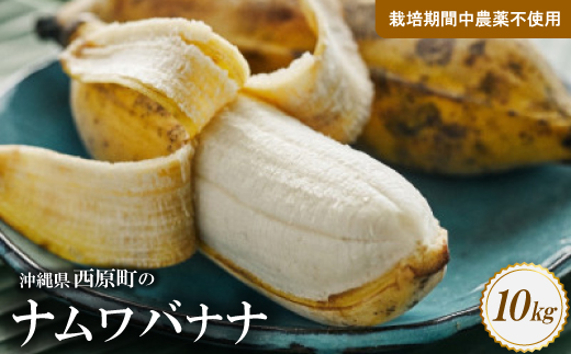 西原町の栽培期間中農薬不使用のナムワバナナ10kg【1616149】