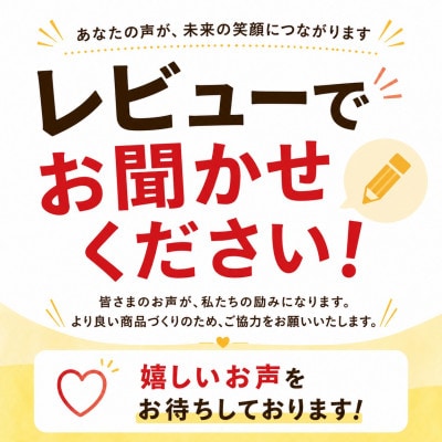 【2026年6月から順次発送・化粧箱】JA厳選のアップルマンゴー2kg(3〜6玉)【配送不可地域：離島】【1494044】