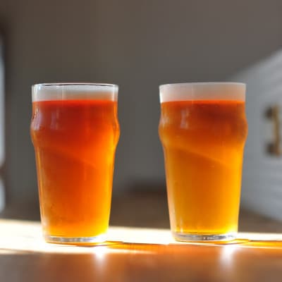 ããæ³æ®ã»ç¡å°çšæä»ããGAJUMARU WIPA 6æ¬ã»ãããé
éäžå¯å°åïŒé¢å³¶ãã1683903ã