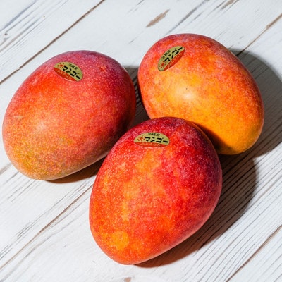 【2026年6月中旬から順次発送・優品】完熟アップルマンゴー約1.5kg(6玉)【配送不可地域：離島】【1466101】