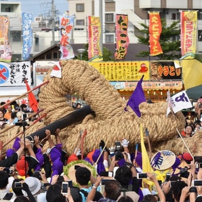 【数量限定】与那原大綱曳 カナチ綱【1590764】