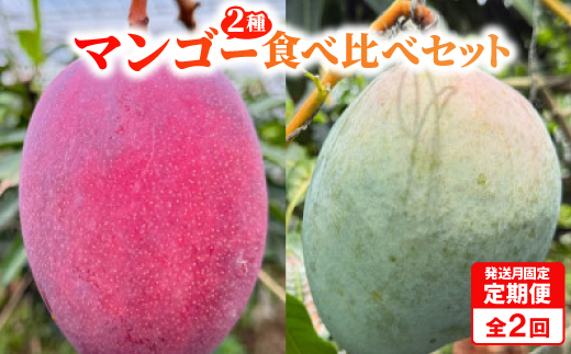 【発送月固定定期便】2026年発送マンゴー2種の食べ比べセット 全2回【配送不可地域：離島】【4012836】