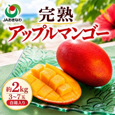 【2027年6月下旬から順次発送・家庭用】JAおきなわ厳選 完熟アップルマンゴー2kg(3〜7玉)【配送不可地域：離島】【1390903】