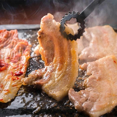 パイナップル ポーク 焼肉セット (3〜4人前) [ ロース ・ バラ ] 沖縄 の ブランド豚【配送不可地域：離島】【1386173】