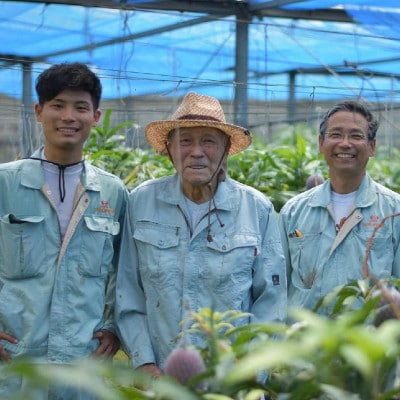 【2026年6月から順次発送】田場農園の栽培期間中農薬不使用マンゴー1kg(2〜3玉)【配送不可地域：離島】【1406103】