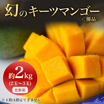【2026年8月から順次発送・贈答用】JAおきなわ厳選!幻のキーツマンゴー約2kg(2〜3玉)【配送不可地域：離島】【1390927】