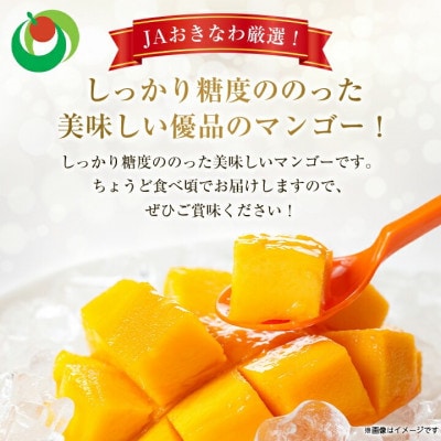 【発送月固定定期便】2026年発送マンゴー2種の食べ比べセット 全2回【配送不可地域：離島】【4012836】