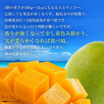【2026年8月から順次発送・贈答用】JAおきなわ厳選!幻のキーツマンゴー約2kg(2〜3玉)【配送不可地域：離島】【1390927】