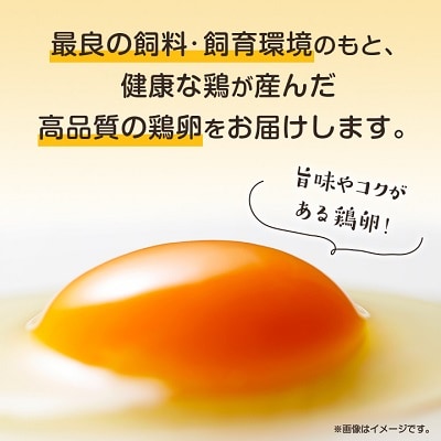 与那原町産の新鮮な卵160個(赤卵)【配送不可地域：離島】【1408738】