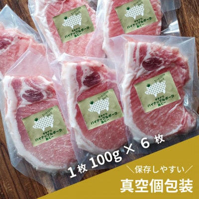 ãã®ããã»èŽçããã€ãããã«ããŒã¯ãããŒããŒã¹ã¹ããŒã6æã»ãããé
éäžå¯å°åïŒé¢å³¶ãã1386187ã