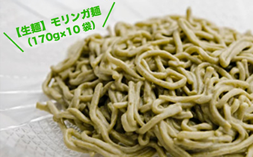 【生麺】もちもち触感のモリンガ麺10食セット【配送不可地域：離島】【1387632】