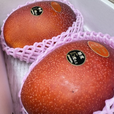 ã2026幎6æããé æ¬¡çºéãç³åºŠ15床以äž!JAãããªããå³éžãããã¬ãã¢ã ãã³ãŽãŒ1kgãé
éäžå¯å°åïŒé¢å³¶ãã1671125ã