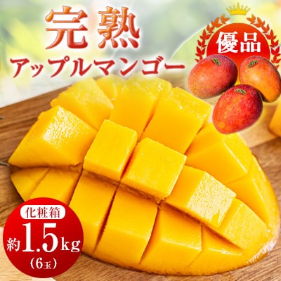 【2026年6月中旬から順次発送・優品】完熟アップルマンゴー約1.5kg(6玉)【配送不可地域：離島】【1466101】