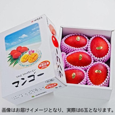【2026年6月中旬から順次発送・優品】完熟アップルマンゴー約1.5kg(6玉)【配送不可地域：離島】【1466101】
