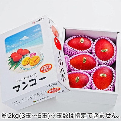 【2026年6月中旬から順次発送・優品】完熟アップルマンゴー約2kg(3玉〜6玉)【配送不可地域：離島】【1390905】