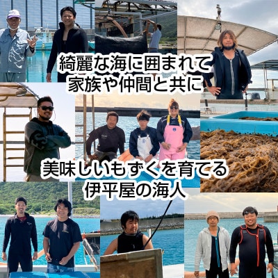 ãåç©«ææéå®!ãå·å çãããã8kg(500g à 16ããã¯)ãé
éäžå¯å°åïŒé¢å³¶ãã1707804ã