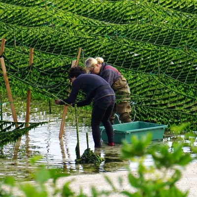 ãæ°ŽæŽãæžã»å°åãããã¯ãã ãã䟿å©â
ãå·å çã¢ãŒãµãâ
60g à 10ããã¯ãé
éäžå¯å°åïŒé¢å³¶ãã1707422ã