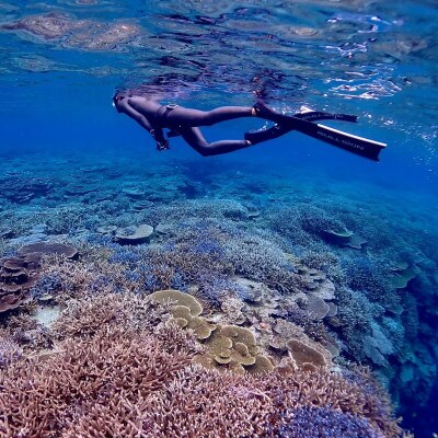 手ぶらでスノーケリング(1名様3時間コース)【1536051】