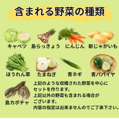 島で採れた新鮮野菜詰め合わせセット(4〜6品目)【配送不可地域：離島】【1606515】