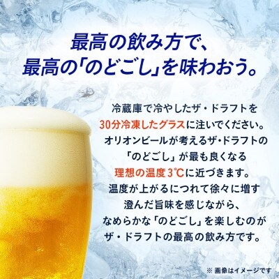 オリオンビール オリオン ザ・ドラフト(350ml×24本)【1591147】