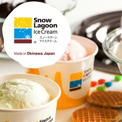 「伊平屋を愛し、アイスを愛す。」130ml×6個 アイスクリーム ジェラート【配送不可地域：離島】【1536372】