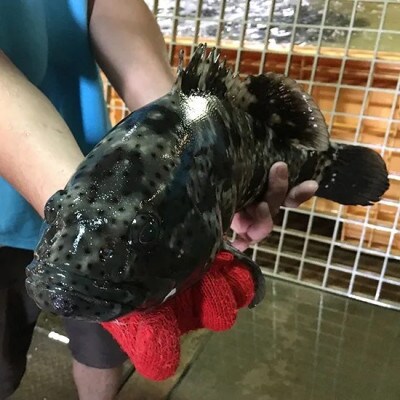 ミーバイ汁 2袋 1.4kg【配送不可地域：離島】【1544710】