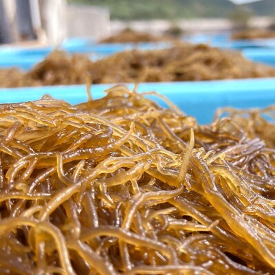 伊平屋島で獲れた海産物セット 梅プラン(4〜6品)【配送不可地域：離島】【1518216】