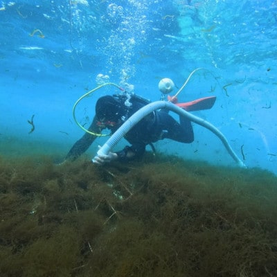 縲先オキ逕」迚ゥ縺阪繧峨d縲台シ雁ケウ螻句ウカ逕」縺ョ蜻ウ莉倥b縺壹¥4P(60gテ3蛟)&逕溘b縺壹¥270gテ4陲九宣埼∽ク榊庄蝨ー蝓滂シ夐屬蟲カ縲代1716359縲