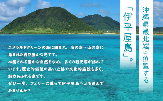 地元民から人気の名店 幸ちゃんそば もずく生麺 食べ比べ4食セット【配送不可地域：離島】【1691209】