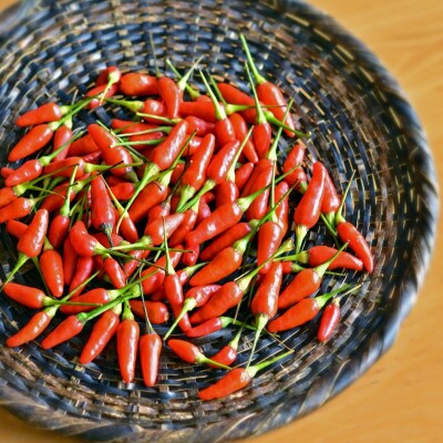 荳蜻ウ蜚占セ帛ュ2譛ャ繧サ繝繝医1518256縲