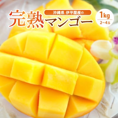 伊平屋産の完熟マンゴー約1kg【配送不可地域：離島】【1497027】