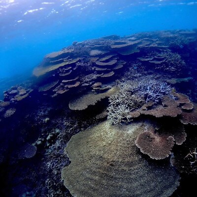 伊平屋のSUPツアー(1名様2時間コース)【1536075】