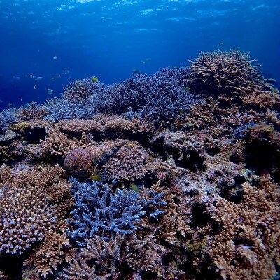 伊平屋のSUPツアー(1名様2時間コース)【1536075】