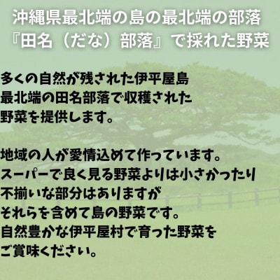 島で採れた新鮮野菜詰め合わせセット(4〜6品目)【配送不可地域：離島】【1606515】
