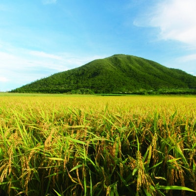 泡盛 てるしの島 25度 720ml 2本【1627777】